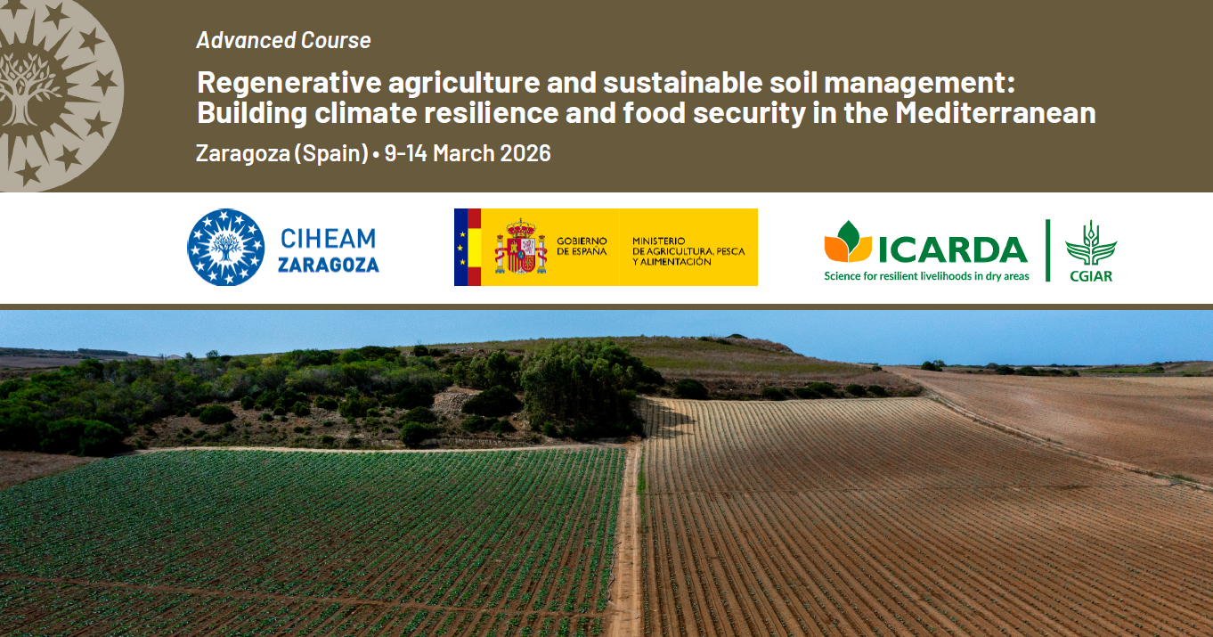 Regenerative agriculture and sustainable soil management: building climate resilience and food security in the Mediterranean