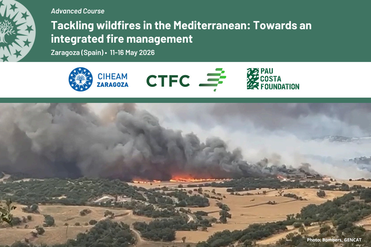 Tackling wildfires in the Mediterranean: Towards an integrated fire management