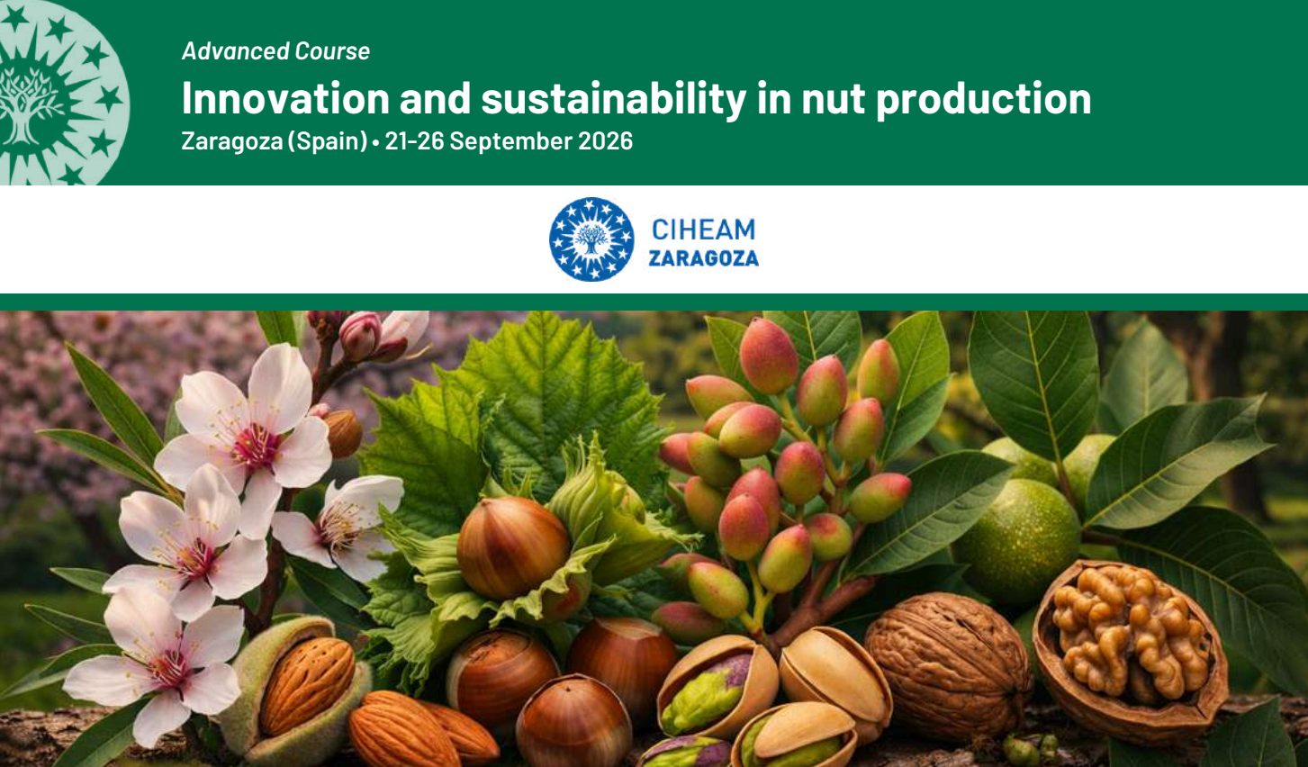 Innovation and sustainability in nut production